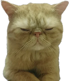 🥱 emoji 臭貓 Telegram sticker 24 of 83