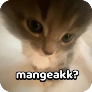 🐱 emoji Stiker receh Telegram sticker 9 of 33
