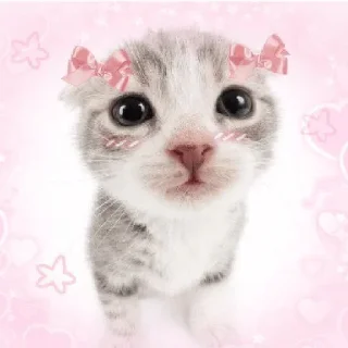 😀 emoji coquette cat Telegram sticker 5 of 16