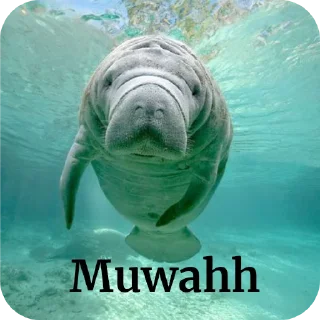 Sticker from Dugong