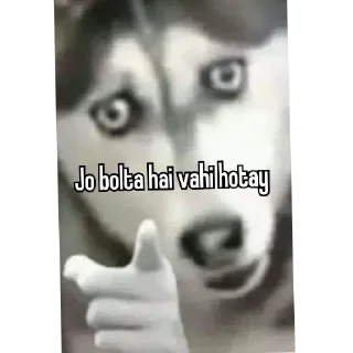 Sticker from BAKCHOD