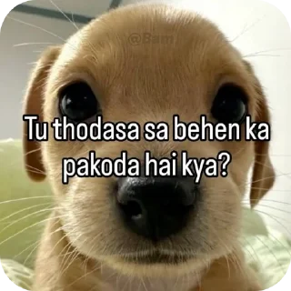 🐱 emoji BAKCHOD Telegram sticker 7 of 58