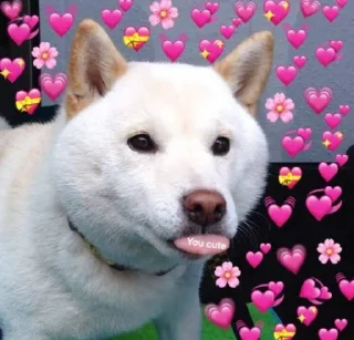 🥰 emoji Bakchod Telegram sticker 21 of 119