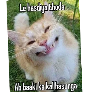 🐱 emoji BAKCHOD Telegram sticker 5 of 58