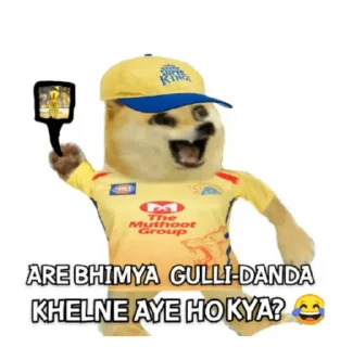 Sticker from @stickersbag ipl memes😎
