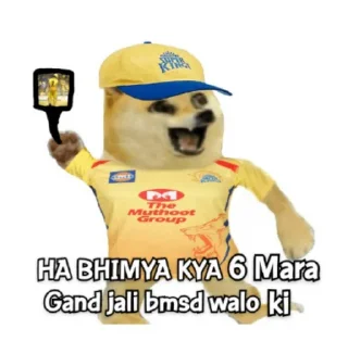 Sticker from @stickersbag ipl memes😎