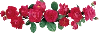 🌷 emoji 🌷 Telegram sticker 17 of 115