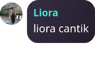 👷‍♀️ emoji liora Telegram sticker 3 of 9