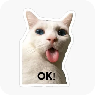 🐱 emoji Don't steal my pack✨ Telegram sticker 17 of 42