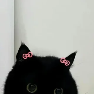 Sticker from Cat / @xd_whimsical / @cokipfp