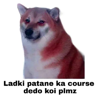 😭 emoji 🐕 ғᴜᴍɴʏ ᴅᴏɢ [5] 😹 @punithgowdastickersin Telegram sticker 7 of 120