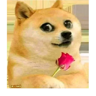 😊 emoji 🐕 ғᴜᴍɴʏ ᴅᴏɢ [5] 😹 @punithgowdastickersin Telegram sticker 24 of 120
