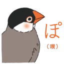 😂 emoji Sparrow 1 Telegram sticker 9 of 125