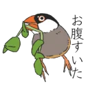 😋 emoji Sparrow 1 Telegram sticker 13 of 125