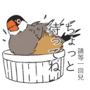 💧 emoji Sparrow 1 Telegram sticker 14 of 125