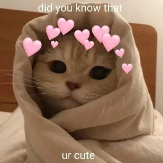 ❤️ emoji Nice Telegram sticker 24 of 39