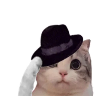 🥰 emoji 定制表情包 @sudabb7 Telegram sticker 17 of 50