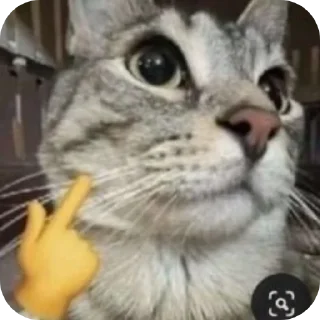 🐱 emoji stiker lele @evnisme Telegram sticker 17 of 102