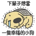 😭 emoji 咖波 動態② @Capoo_Stickers Telegram sticker 7 of 36