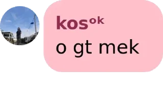 🤽‍♀️ emoji OK pack by @QuotLyBot Telegram sticker 3 of 51