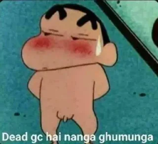 Sticker from Vaibhav's sticker kang pack