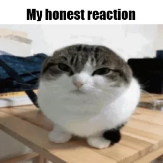 🫤 emoji Honest Reaction @ManasTheKing Telegram sticker 13 of 52