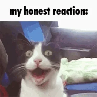 😀 emoji Honest Reaction @ManasTheKing Telegram sticker 8 of 52