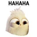 🐤 emoji Burung Dexcil by Sae🐻 Telegram sticker 9 of 25