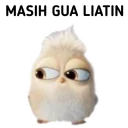 🐤 emoji Burung Dexcil by Sae🐻 Telegram sticker 15 of 25