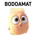 🐤 emoji Burung Dexcil by Sae🐻 Telegram sticker 24 of 25