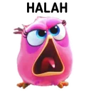 🐤 emoji Burung Dexcil by Sae🐻 Telegram sticker 18 of 25