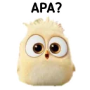 Sticker from Burung Dexcil by Sae🐻