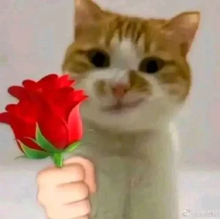 🤔 emoji BebekSlametAsli Telegram sticker 8 of 115