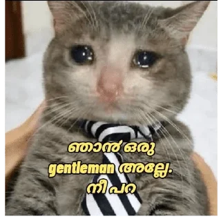 🥺 emoji @poocha_serr — @stckrRobot Telegram sticker 20 of 120