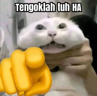 😠 emoji Punya @luvksyy Telegram sticker 4 of 92