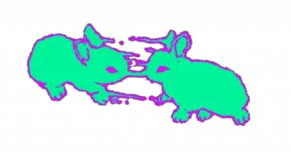 🫧 emoji 𓆩♡𓆪 @kindasickindalit Telegram sticker 7 of 57