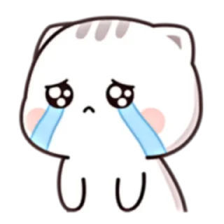 😭 emoji 貓小醬 Cutie chan four [ENG] (FULL) @WSZB_Stickers Telegram sticker 20 of 24