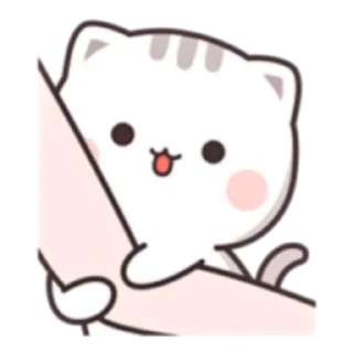 😊 emoji 貓小醬 Cutie chan four [ENG] (FULL) @WSZB_Stickers Telegram sticker 23 of 24