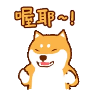 💬 emoji 阿柴們的狗哩狗氣日常_kal Telegram sticker 5 of 24