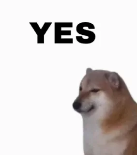 Sticker from Doge 1 • @ShitpostStickers
