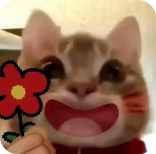 🌟 emoji rangkuman stikell dali akk@acna_4you Telegram sticker 7 of 59