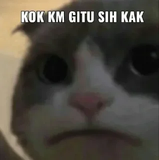 🥺 emoji rangkuman stikell dali akk@acna_4you Telegram sticker 10 of 59