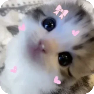 🌟 emoji rangkuman stikell dali akk@acna_4you Telegram sticker 6 of 59