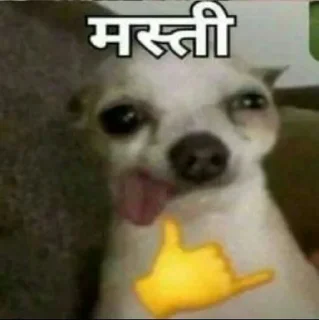 Sticker from miau's sticker pack