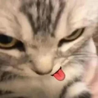 😜 emoji stiker by fahri pack by @QuotLyBot Telegram sticker 12 of 104