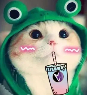 🥤 emoji 🎧 @hey_hanako⚡'s Sticker Pack 🎗️ Telegram sticker 12 of 43