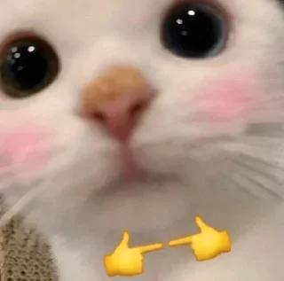 😚 emoji @Rolex_SirG norm  by @Mikasa_Ackr_bot Telegram sticker 7 of 15