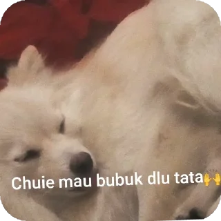 Sticker from Chuieee stikerrrr