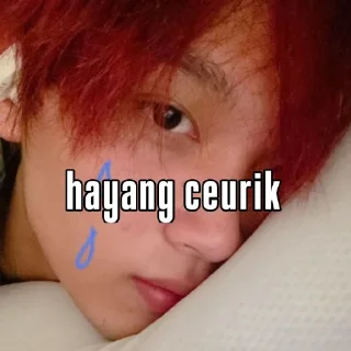 🥺 emoji Laba laba sunda Telegram sticker 9 of 15