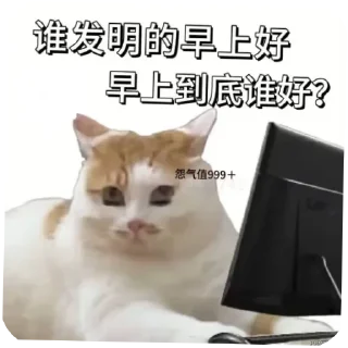 👍 emoji 卡里喵！ Telegram sticker 21 of 23